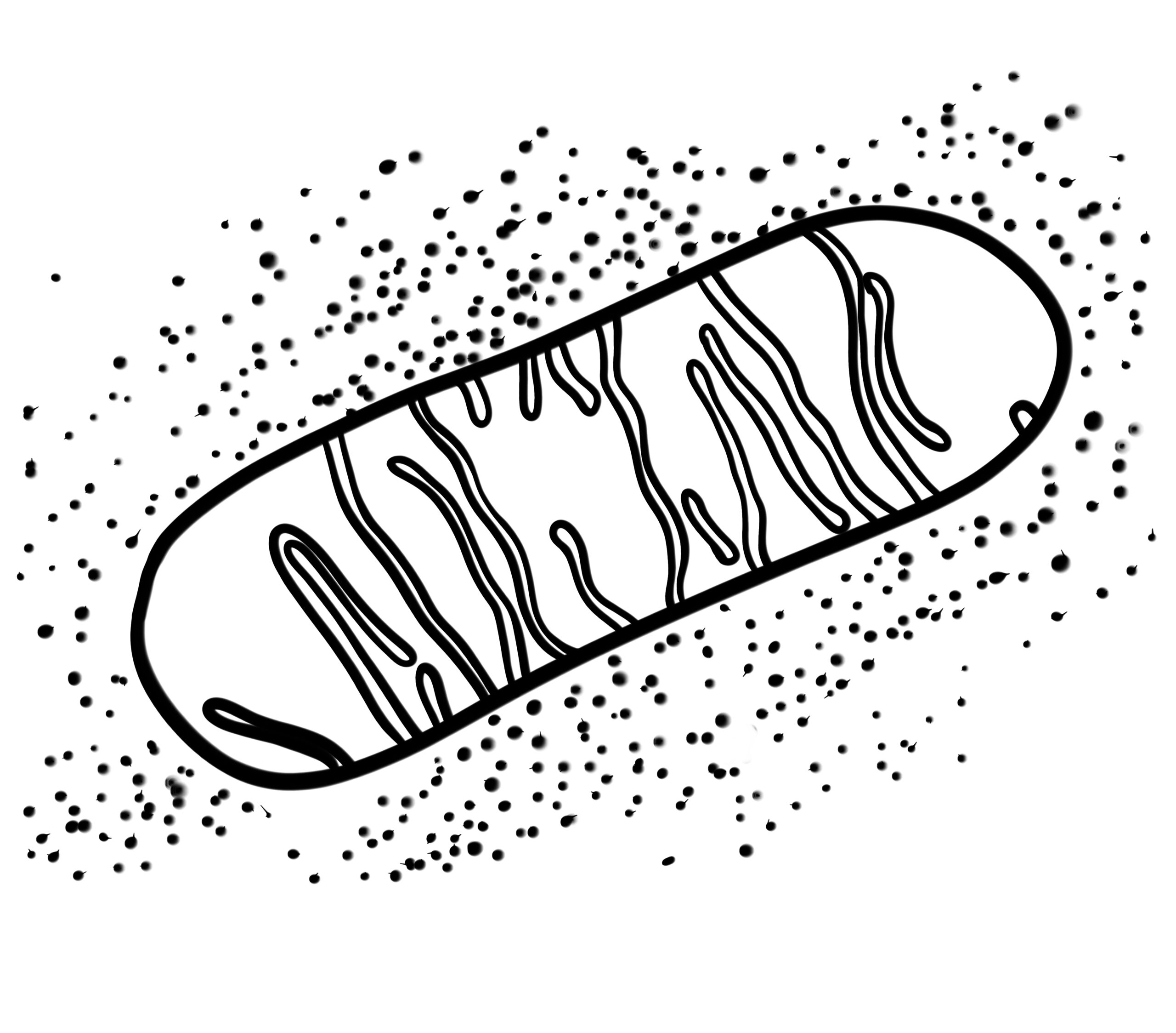 Podcast companion illustration 3